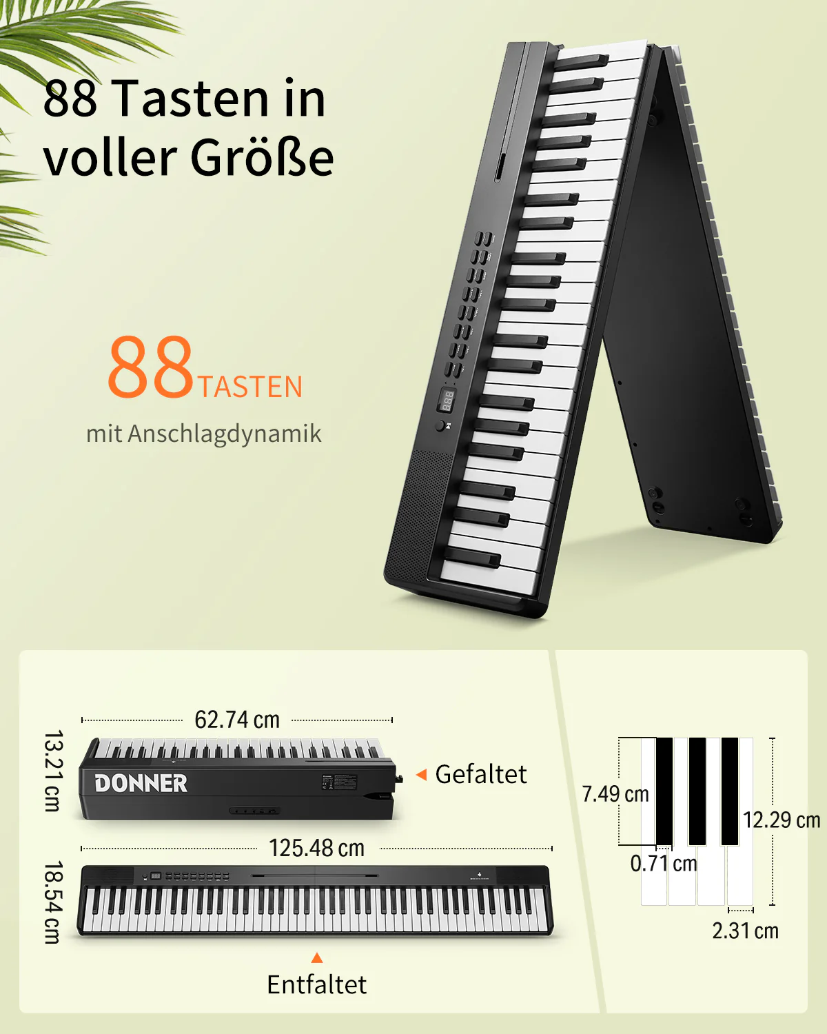 Vorschaubild 11