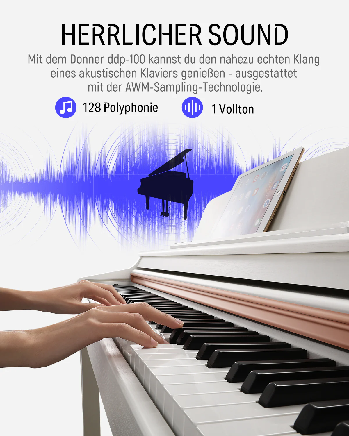 Vorschaubild 16